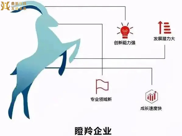 瞪羚企业申报认定